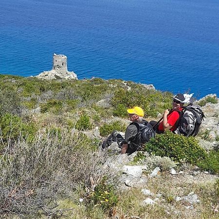 Villa Maison Dans Le Cap Corse Tomino Exterior foto