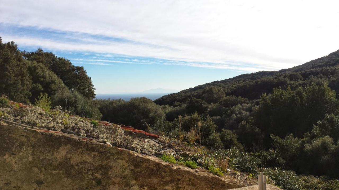Villa Maison Dans Le Cap Corse Tomino Exterior foto